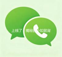 上线了！揭秘胆小如鼠背后的心理学奥秘